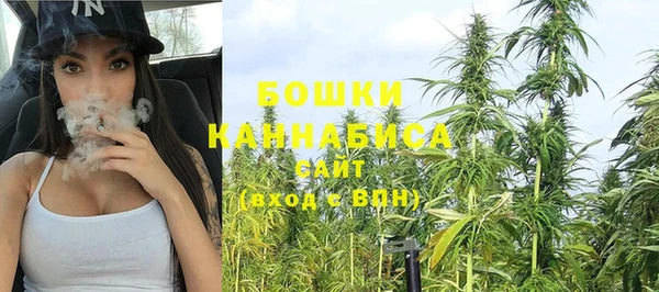 винт Бикин