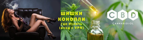 дмт Бронницы